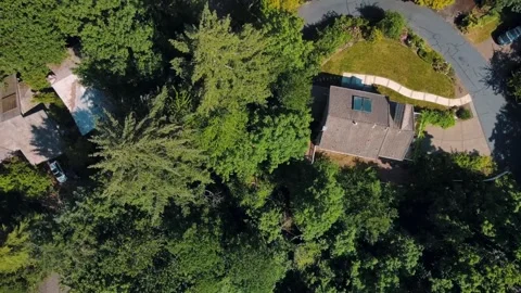 Aerial top down of Council Crest Park Portland forest nature view on sunny .. 스톡 동영상 295155286