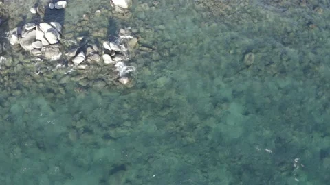 Aerial top down crystal clear water Lake Tahoe summer by drone US LKT DJI 0013 B Stock Footage 140291813