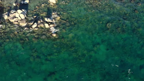 Aerial top down crystal clear water Lake Tahoe summer by drone US LKT 0013 B GR Stock Footage 143307387