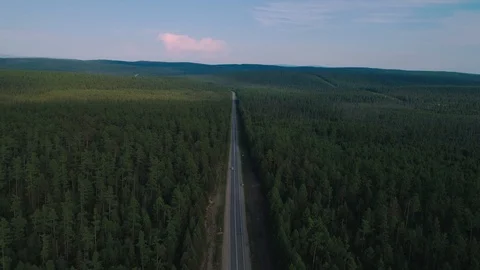AERIAL, TOP DOWN: Dark colored car driving down an asphalt road crossing the Stock Footage 125466354