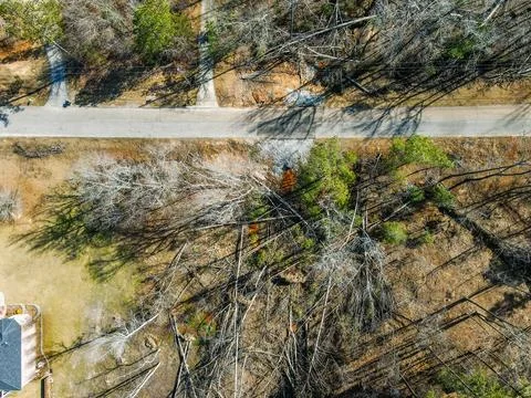 Aerial top down destroyed forest winter after Hurricane Helene damage Appli.. Stock-Fotos