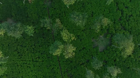Aerial top down drone ascending shot of ... | Stock Video | Pond5