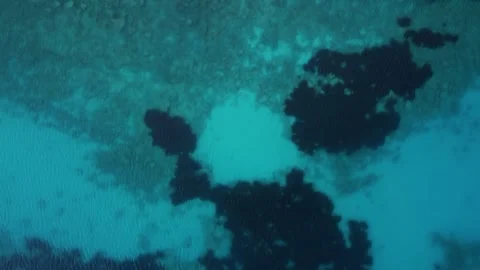 Aerial top down drone flight view of sea floor with clear blue water Video stock 245540799