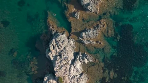 Aerial top down drone flight over rocky coastline with clear turquoise wate.. Stock Footage 318639958