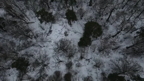 Aerial top down drone landscape of a frozen river on an icy winter day 스톡 동영상 243983137