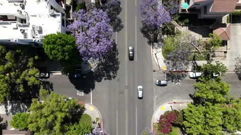 Aerial, top down, drone shot of cars driving on a road, between Purple Stock Footage 131138133