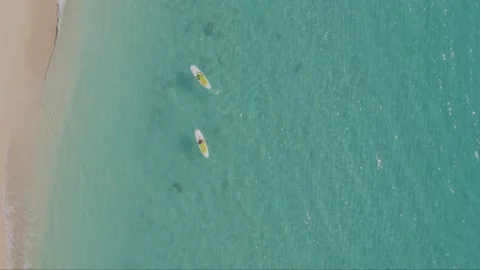 Aerial top down drone shot of paddle boarders Stock Footage 137502142