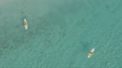 Aerial top down drone shot of paddle boarders Stock Footage 137502152