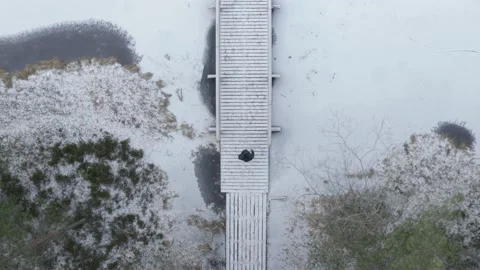 Aerial top down drone shot of person walking along snowy boardwalk Stock Footage 146294642