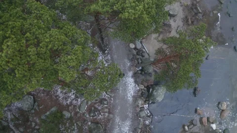 Aerial top down drone shot of person walking along snowy path or trail Stock Footage 146295554