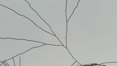 Aerial. Top Down, Drone Shot, Over A Frozen, Ice Cracks, On A Sunny Stock Footage 224246771