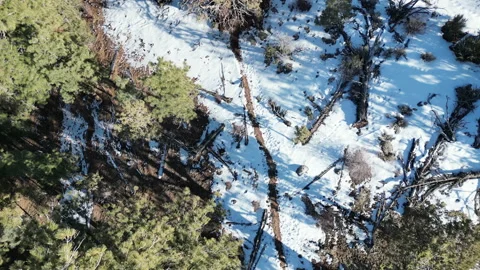 Aerial Top Down Drone Shot Of Snow In Big Bear, CA Stock-Footage 233565089