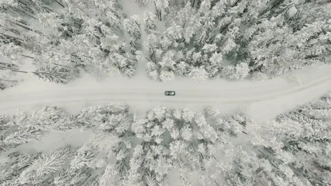 Aerial Top Down Drone Shot Of A Car Driving Between Snowy Trees In Winter Stock Footage 238610079