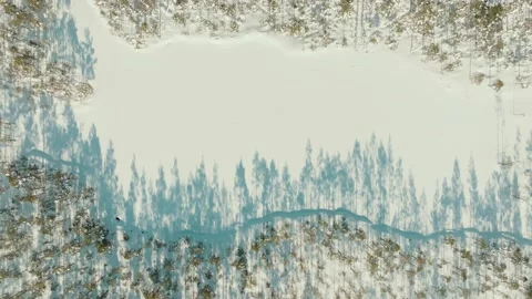 Aerial Top Down Drone Shot Of Bog Trees And Frozen Lake In Winter Stock Footage 238611770