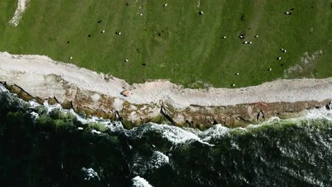 Aerial Top Down Drone Shot Of Waves Slapping Next To The Sheep On Island Stock Footage 238661506