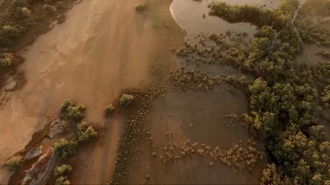 Aerial top-down drone shot over sandy bushland in Casamance, Senegal, at golden  Stock Footage 309913834