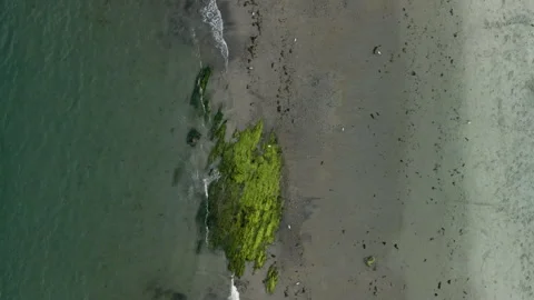 Aerial Top-Down Drone Shot of Waves Crashing on Beach – 4K Stock Footage 313908032