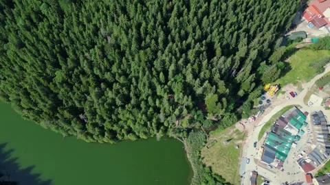 Aerial Top Down Drone Shot Over Forest, Lake Shore and Small Buildings Stock Footage 318712508