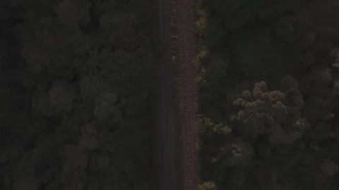 Aerial top down drone shot flying over railway tracks through dense forest Vídeos de archivo 333644611