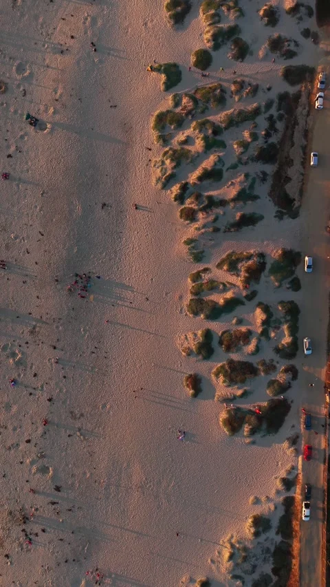 Aerial top-down drone shot of a clean sandy beach texture, cinematic 4K b-r.. Vídeos de archivo 339210585