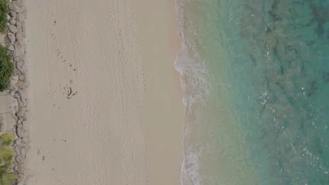 Aerial top down drone tracking shot of perfect Caribbean beach resort Stock Footage 137498899