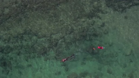 Aerial top down drone view of unidentifiable male snorkeler diver Stock Footage 234075111