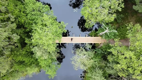 Aerial Top Down Drone View Of Couple Crossing Bridge In The Forest Stock Footage 238666027
