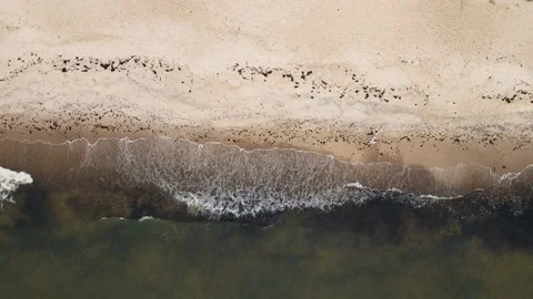Aerial Top Down Drone View Of Couple Walking On The Beach Next To Waves Stock Footage 238668740