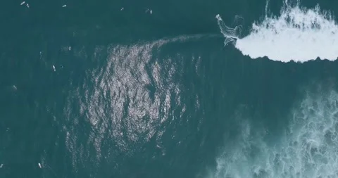 Aerial Top Down Drone View of Surfers El Salvador_LunaVista Stock Footage 243145542