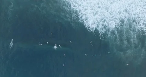 Aerial Top Down Drone view of surfers at... | Stock Video | Pond5