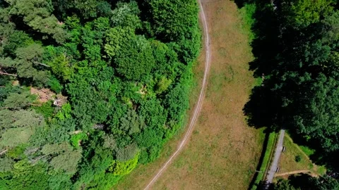 Aerial top down drone view of a grassy walking path in Grunewald Forest Berli 動画素材 243818000