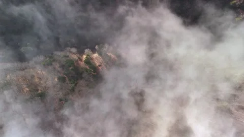Aerial top down drone view of fog spreading out above forest Stock Footage 296484601