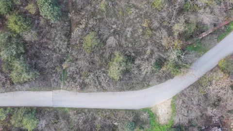 Aerial top-down drone view of winding road through autumn forest Stock Footage 322902017