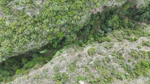 Aerial Top Down Drone View of Forested Gorge with Rocky Cliffs and Trail Stock-Footage 331073801