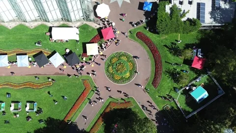 Aerial top down drone view of visitors walking around flower garden Stock Footage 332749606