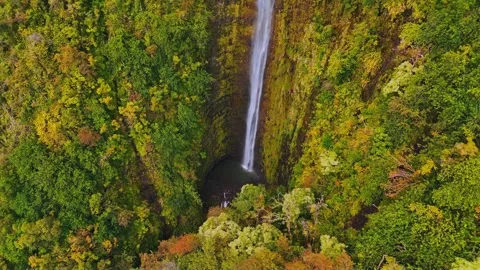Aerial Top Down Drone View of Tropical Waterfall Hawaii Rainforest 動画素材 337926776