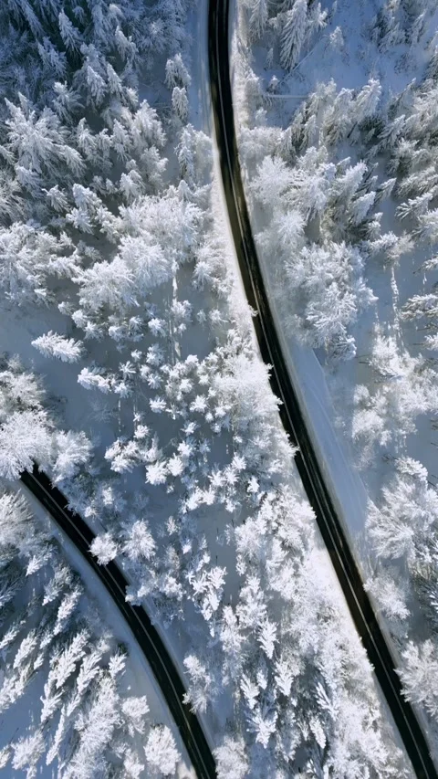 Aerial top-down drone view of a winding road through snow-covered forest. Stock Footage 345196167