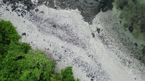 Aerial top-down drone view of white beach beside lava rocks in Hawaii Stockbeeldmateriaal 348170947