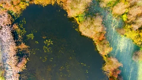 Aerial top-down early cold sunny autumn morning view of trees and lake. Stockbeeldmateriaal 291744267