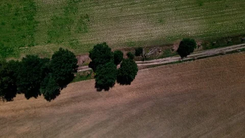 Aerial top down of fields during summer near Thyrow Brandenburg Stock Footage 249525641