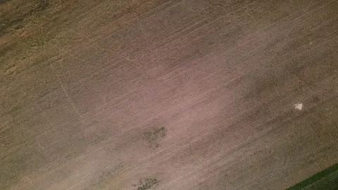 Aerial top down of fields during summer near Thyrow Brandenburg Stock Footage 249525703