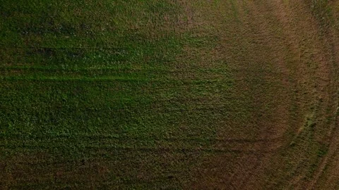 Aerial top down of fields near Thyrow Brandenburg Stock Footage 249528423