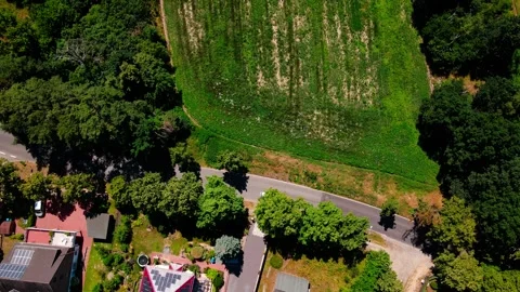 Aerial top down of fields of wildflowers in Thyrow Brandenburg during an su.. Stock Footage 249522837
