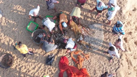 Aerial Top Down Fishermen Sorting Fish Stock Footage 332988511