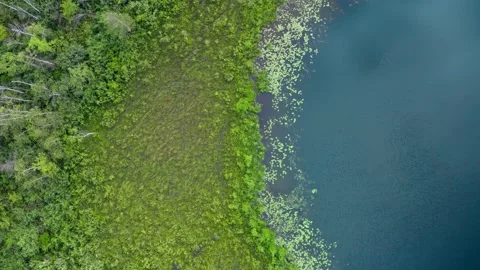 Aerial top down flight over amazing small lake of perfectly round shape Stock Footage 136303995