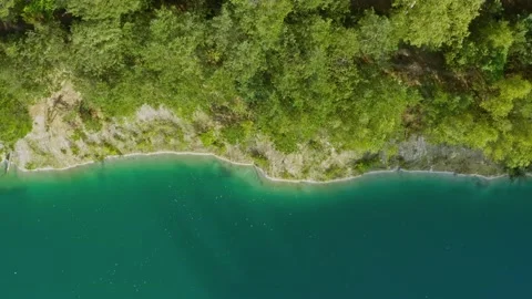 Aerial top down flight over amazing lake. Beautiful lakeshore, trees and plants Stock Footage 139990815