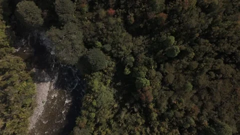 Aerial Top Down Flight Over Winding River Surrounded by Forest in Lenca Chile Video stock 325327835