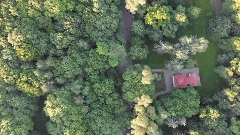 Aerial top down fly over shot of summer park with forest where people walk Stock Footage 145914410
