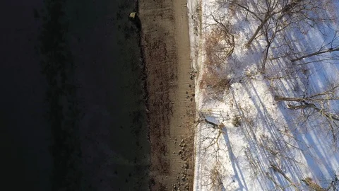 Aerial TOP DOWN flying over a cold winter beach at dawn with gentle waves Video stock 98965748