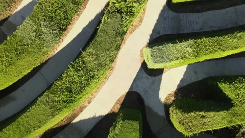 Aerial top down flying over a complex multicursal green hedge maze on an Stock Footage 147673803